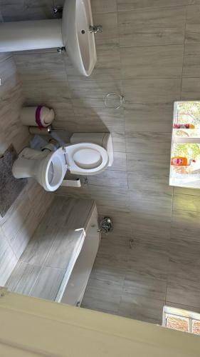 a bathroom with a white toilet in a room at Emoyeni Malelane Lodge in Malelane