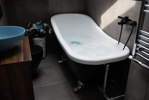 Photo de la galerie de l'établissement Apartman Elephant, à Novi Sad