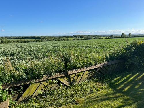 a wooden box in a field of crops at RolandsCroft Guest House in Pontefract