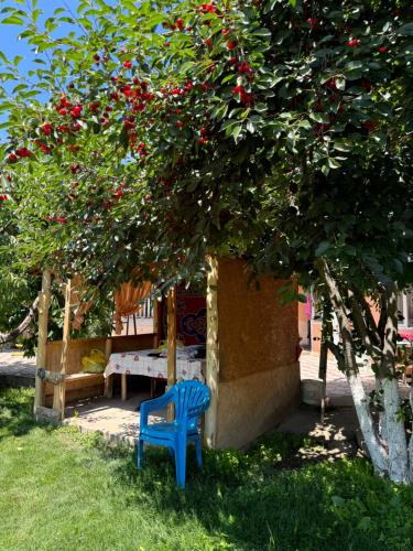 a blue chair sitting under a tree with red berries at Ak-keme in Tossor