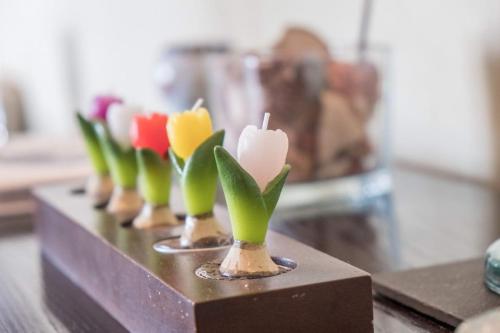 a row of candles sitting on top of a table at Marina View in Cowes