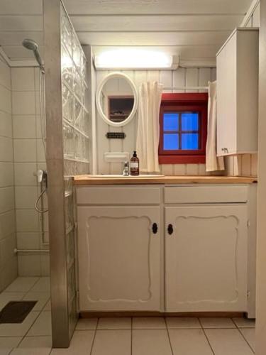 a bathroom with a shower and a sink and a mirror at Traditional Hemsedal family cabin spectacular view in Hemsedal