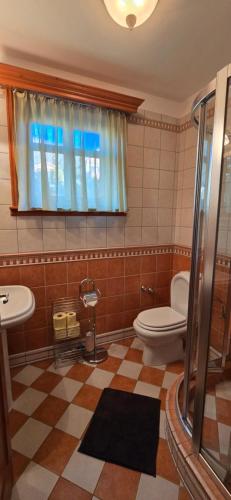 a bathroom with a toilet and a sink and a window at Bruckner Villa Apartman in Balatonfüred
