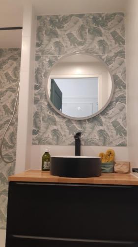 une salle de bain avec un lavabo et un miroir sur un comptoir dans l'établissement Résidence Le Beau site Studio Rénové, à Aix-les-Bains