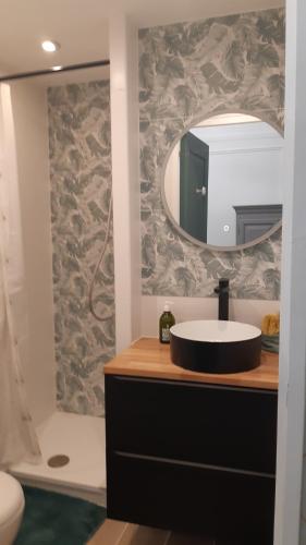 une salle de bain avec un lavabo et un miroir dans l'établissement Résidence Le Beau site Studio Rénové, à Aix-les-Bains