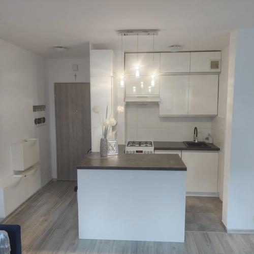 Η κουζίνα ή μικρή κουζίνα στο Mieszkanie Kłodzko Centrum