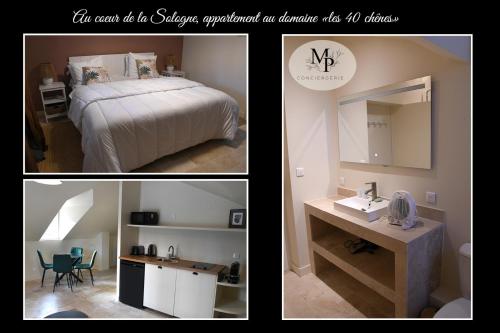 Appartement au Domaine \"Les 40 Chênes\"