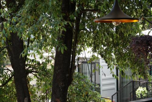 a light hanging from a tree in a yard at Container Woods in Valle de Bravo