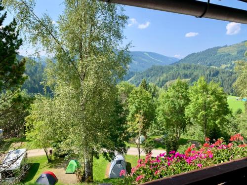 a view of a garden with tents and flowers at Frühstückspension Gsenger in Ramsau am Dachstein