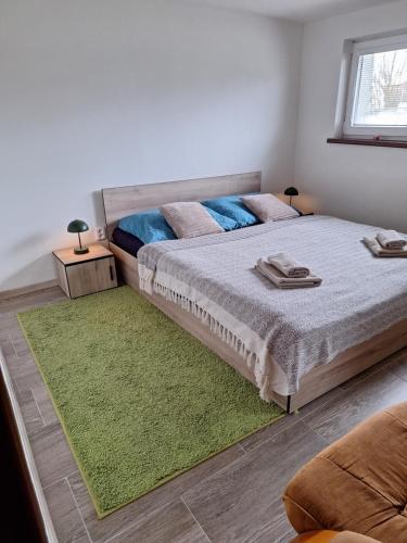 a bedroom with two beds and a green rug at Ubytování poblíž Ostravy in Hladké Životice
