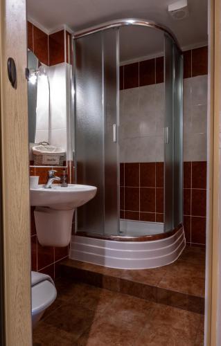 a bathroom with a shower and a sink at Penzion Pohoda Sokolov in Sokolov