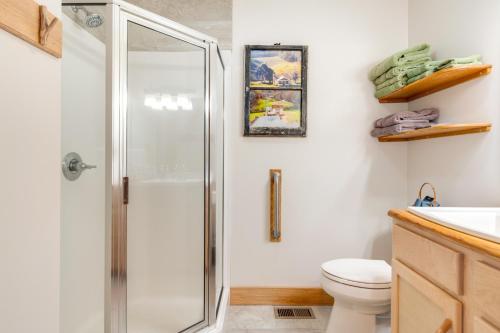 a bathroom with a shower and a toilet at Sawyers Cabin with Hot Tub in Blue Ridge Mtns! in Fletcher