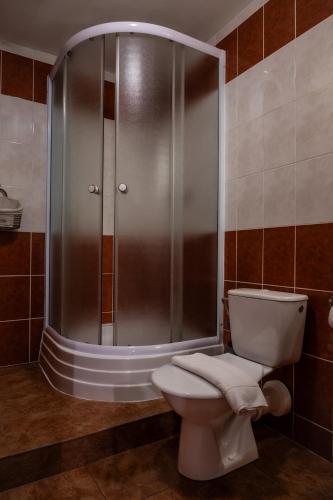 a bathroom with a shower and a toilet in it at Penzion Pohoda Sokolov in Sokolov
