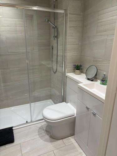 a bathroom with a shower and a toilet and a sink at Secluded Coventry Escape in Wyken