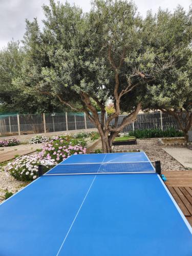 Photo de la galerie de l'établissement Cosy Cocoon, à Bandol