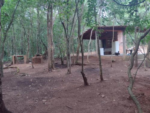 una pequeña casa en medio de un bosque en Sítio águas claras, en Pirenópolis