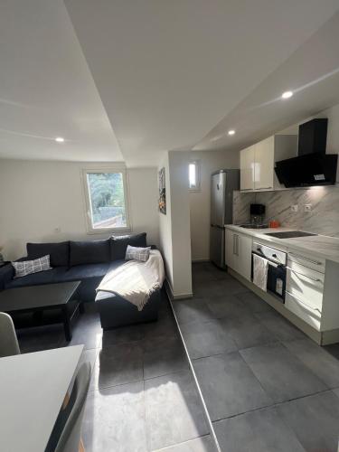 un salon avec un canapé et une cuisine dans l'établissement Magnifique T2, à La Penne-sur-Huveaune