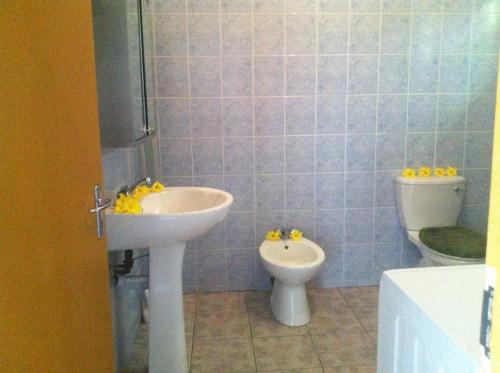 a bathroom with a sink and a toilet at Seychelles Yellow Petals in Anse Boileau