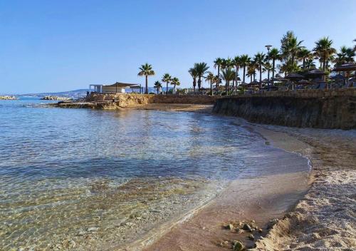 a beach with palm trees and the ocean at Villa Clementinka - 200 meters from the sea in Khlorakas