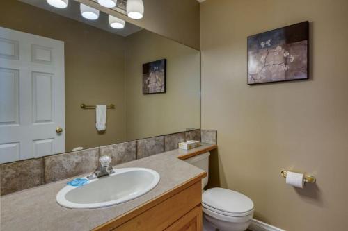 a bathroom with a sink and a toilet and a mirror at Marble Canyon in Fairmont Hot Springs