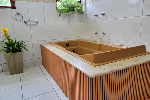 a large tub in a bathroom with a plant at "LaPrima Casa", a preciosidade do centro da cidade in Guararema