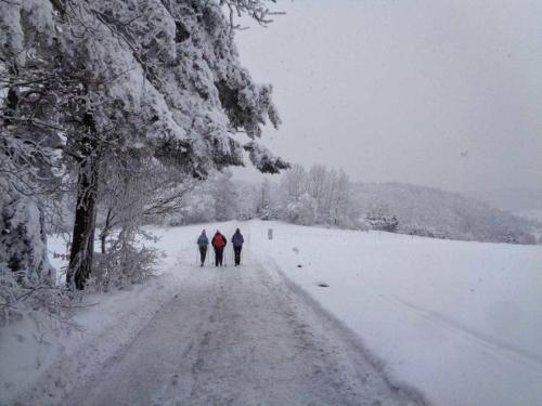 two people walking down a snow covered road at Widokówka Kudłacze Domek z Jacuzzi in Pcim