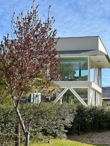 a glass house with a tree in front of it at Cabañas Rio Soñado in Valle Grande