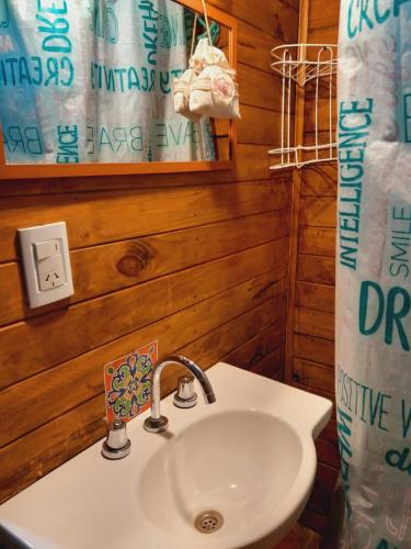 a bathroom with a sink and a shower curtain at cabaña cuatro reinas in Tigre