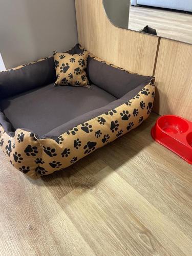 a dog bed in the corner of a room at Konell Apartment 205 in Pomerode