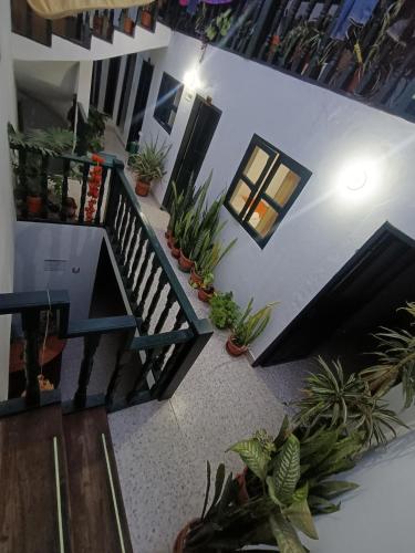 an overhead view of a house with potted plants at Hecglojada in Villa de Leyva