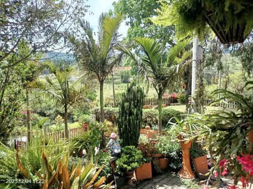 a garden with a lot of plants and trees at Villa Satu in Ráquira