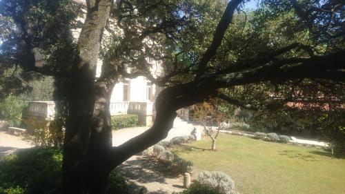 Logis Hôtel - Restaurant Résidence Les Cèdresにある庭