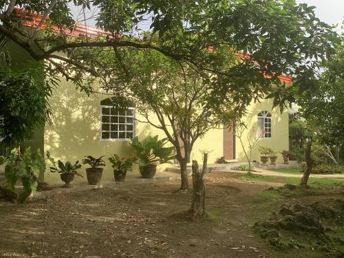 a house with trees and potted plants in front of it at Sondol Guesthouse in Loon