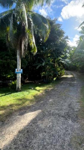 a palm tree on the side of a road at Fare Arana Mooréa Guesthouse in Atiha