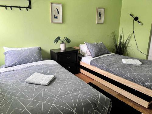 two beds in a room with green walls at Stylish City Base for Groups and Families, Unit #4 in Halifax