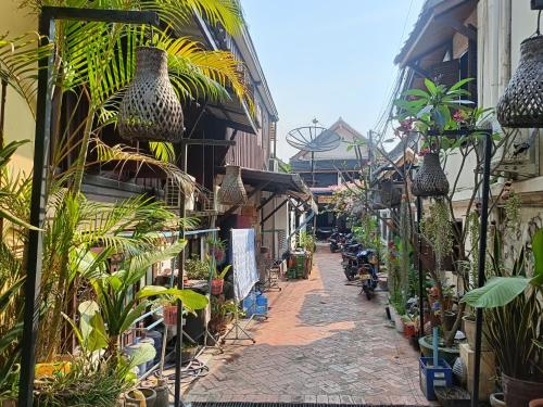 City Backpackers LuangPrabang