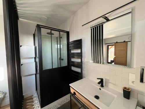 une salle de bain avec un lavabo, une douche et un miroir dans l'établissement Belle maison de 4 chambres au bord du canal à Cazaux - FR-1-319-598, à La Teste-de-Buch