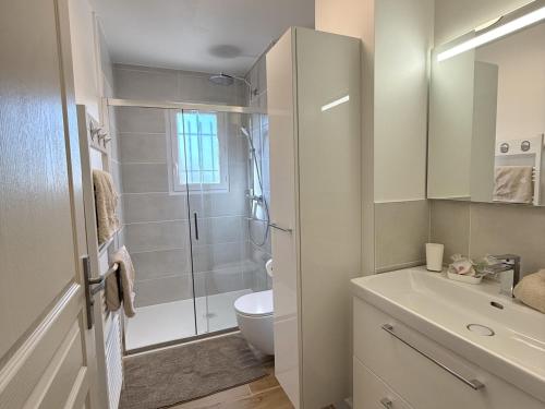a bathroom with a shower and a toilet and a sink at Maison Calme 6 Pers. au Golf Pont Royal - Piscine, Terrasse, Parking, Clim, Fibre - 13370 Mallemort - FR-1-658-24 in Mallemort