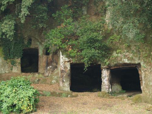 a cave in the side of a rock wall with trees at Donna Etrusca in Sutri