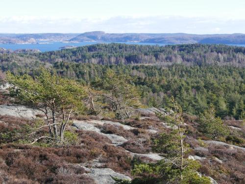 a view from the top of a mountain with trees at Lekanders Bär & Boende in Tyfta