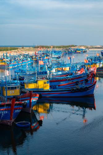 a bunch of boats are docked in the water at Hill Village Phu Yen in Phú Hiệp (2)