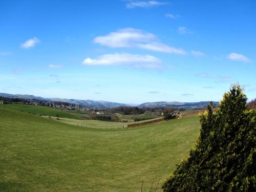 a green field with a tree in the foreground at Southpark House in Dumfries