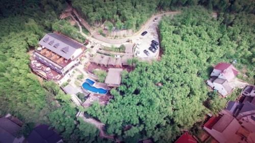 an aerial view of a house in the forest at The Western Clouds in Deqing