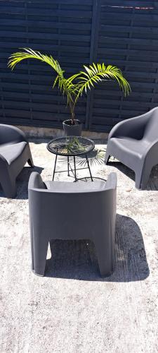 a table and chairs with a potted plant on it at Villa tempÔ in Sainte-Rose