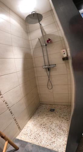 une douche avec pommeau de douche dans une salle de bain dans l'établissement 3 Chambres au Coeur des vignes Savoie, à Myans