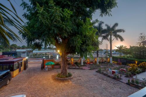 Un jardín fuera de 7 Days Motel Near UN Base
