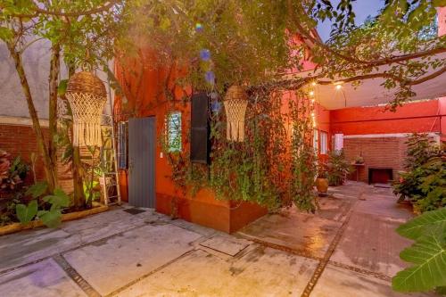 Κήπος έξω από το Hermosa Casa en Oaxaca