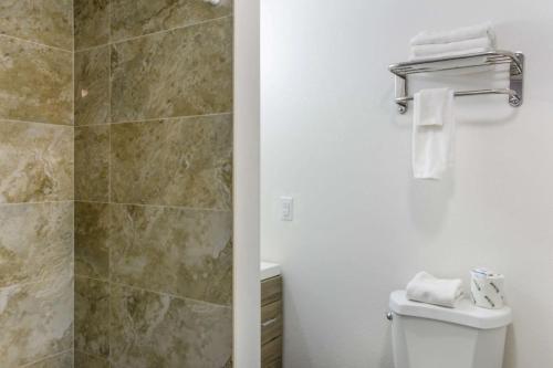 a bathroom with a toilet and a shower at Rodeway Inn Milford in Milford
