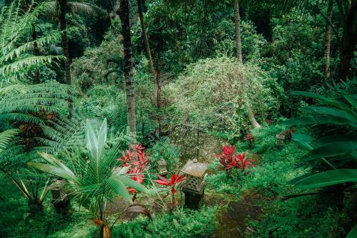 a garden with plants and flowers in a forest at The Mahogany Villa Ubud in Tegalalang