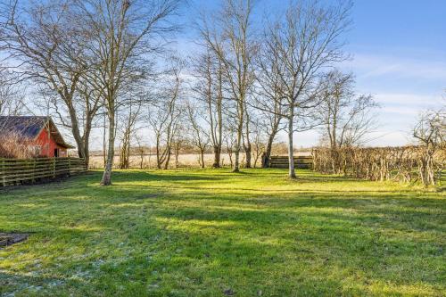 a field with a barn and trees and grass at tulipanhuset in Ribe